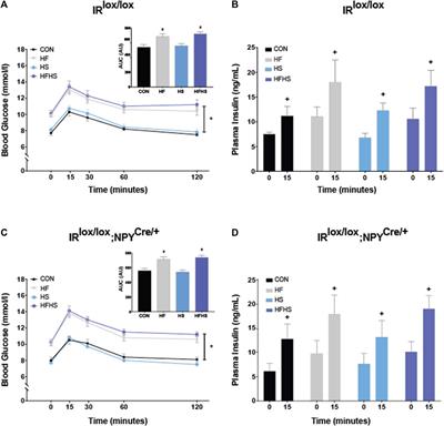 The Effect of Dietary Fat and Sucrose on Cognitive Functioning in Mice Lacking Insulin Signaling in Neuropeptide Y Neurons